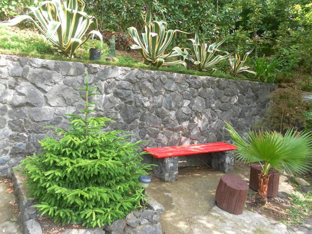 Hotel Holiday House Green Cape Batumi Mtsvane Kontskhi Zewnętrze zdjęcie