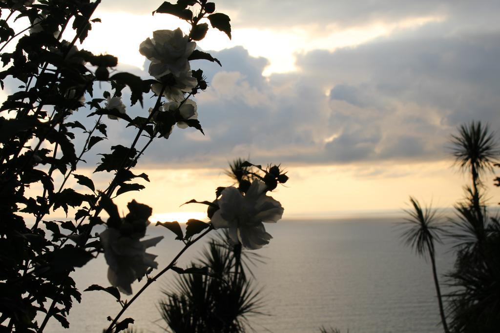 Hotel Holiday House Green Cape Batumi Mtsvane Kontskhi Zewnętrze zdjęcie